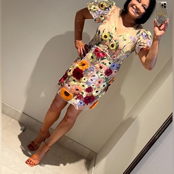 Dresses & Skirts - Beautiful 3D multicolor floral appliqué dress